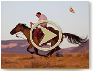 The Hideout Video Tour